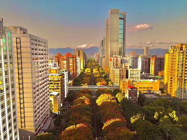 ▲圖片來源：IG@force0802