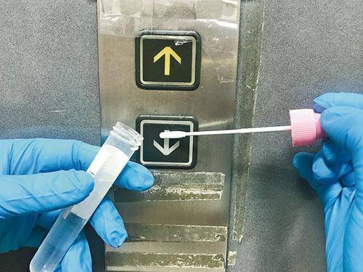 檢驗員在現場以拭子棒擦拭測試物件表面，送回室實驗將細菌培養至肉眼可見的細菌菌落，從而計算當中含菌量。（SGS提供）