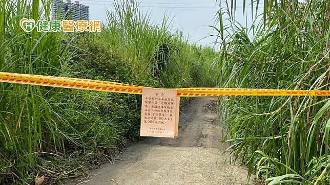 台北市今年首例登革熱本土病例住家附近有一處文山區菜園為中和區確診個案活動地，經衛生局及疾管署機動防疫隊現場調查查獲有病媒蚊及孳生源，該菜園已列為高風險場域，並設立警戒線籲勿入。