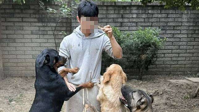 葉姓健身教練飼養多隻狗。取自當事人IG