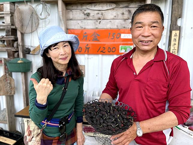 假日何處去?宜蘭枕山採桑椹趣!