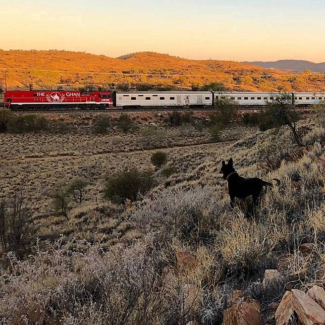 Photo Credit: <a href=