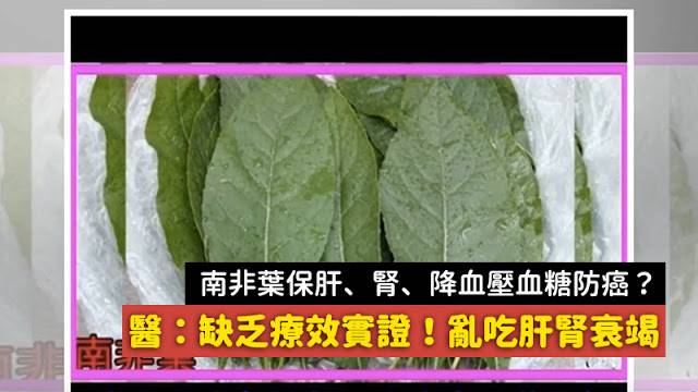 南非葉 功效 謠言 保肝、保腎、降血壓血糖更能防癌