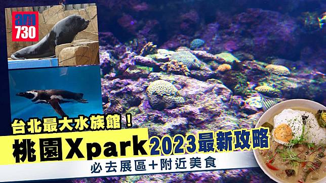 台灣自由行｜台北最大水族館！桃園Xpark 2023最新攻略 必去展區+附近美食