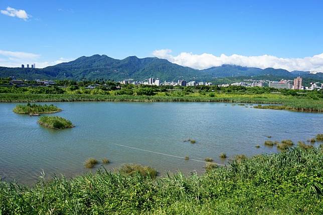 社子島濕地生態豐富，風景宜人，適合親子週末安排半日遊。   圖：北市水利處／提供