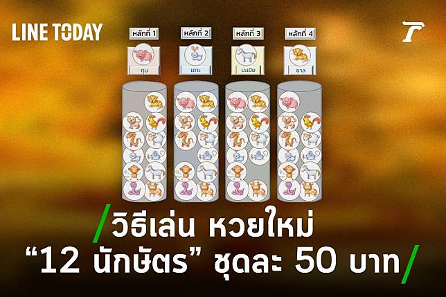 ภาพไฮไลต์