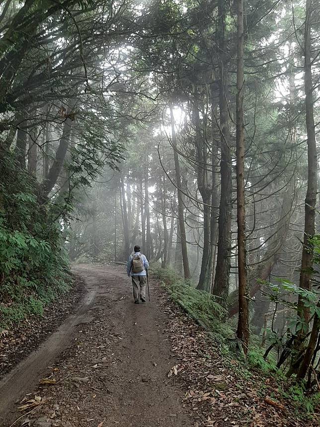 ▲漫步合歡溪步道感受台灣鐵杉之美（圖/星期五體育課粉絲團）