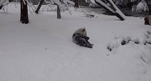 SMITHSONIAN'S NATIONAL ZOO