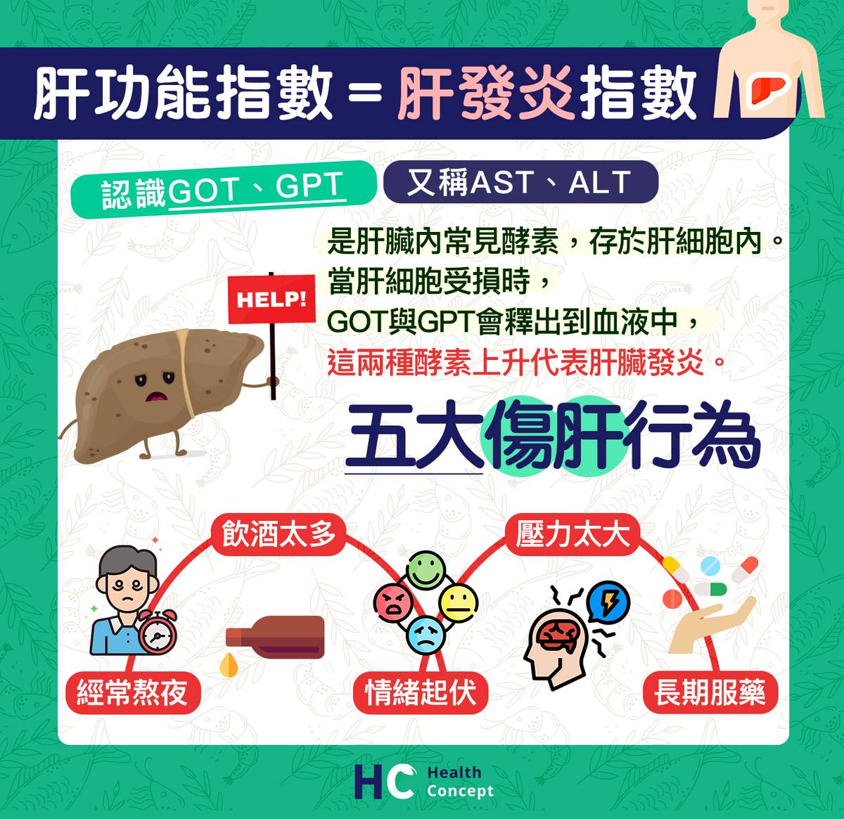 【HC健康解構】留意五大傷肝行為肝功能指數＝肝發炎指數| Health Concept | LINE TODAY