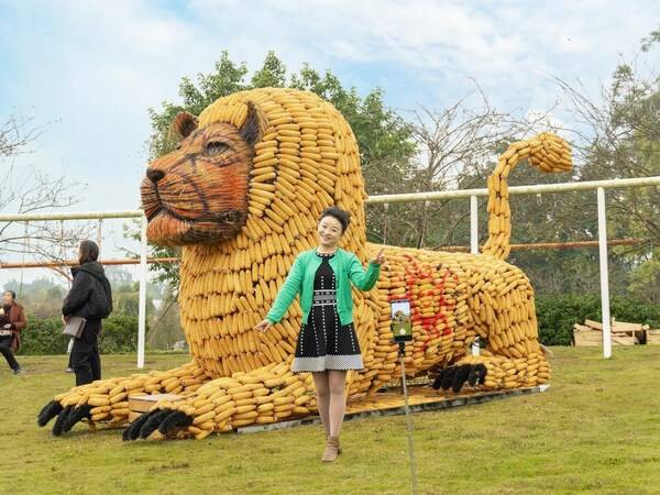 The Chengdu Giant Corn Art Festival 2024, which will run until Dec 15, is underway in the Huawu Renjian Scenic Area in Xinjin district of Chengdu, Sichuan province.