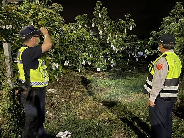 善化警方與大內的社區巡守隊加強大內果園的巡邏，以遏阻宵小行竊。（記者林相如攝）