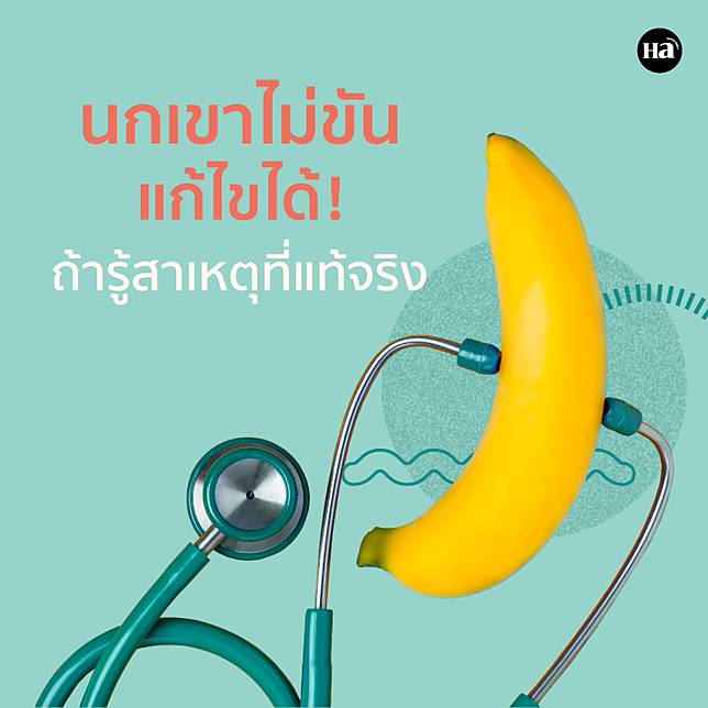 เชื่อไหมว่าผู้ชายกว่า 152 ล้านคนทั่วโลก เคยประสบปัญหา “นกเขาไม่ขัน” “ล่มปากอ่าว” หรือทีเรียกว่าภาวะหย่อนสมรรถภาพทางเพศ (Erectile Dysfunction) ปัญหานี้ถือเป็นฝันร้ายของผู้ชายซึ่งเกิดได้จากหลายสาเหตุ และไม่ได้เกิดเฉพาะกับผู้สูงอายุเท่านั้น!