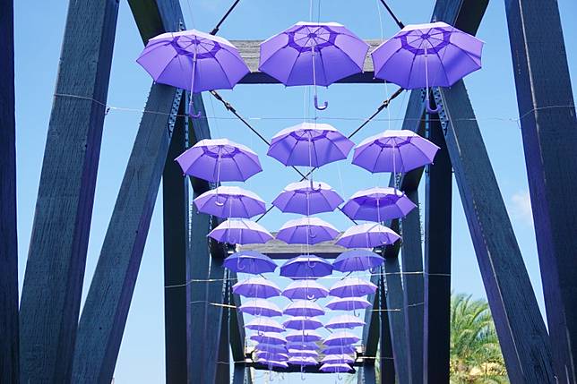 圖片來源：攝影師徐世超