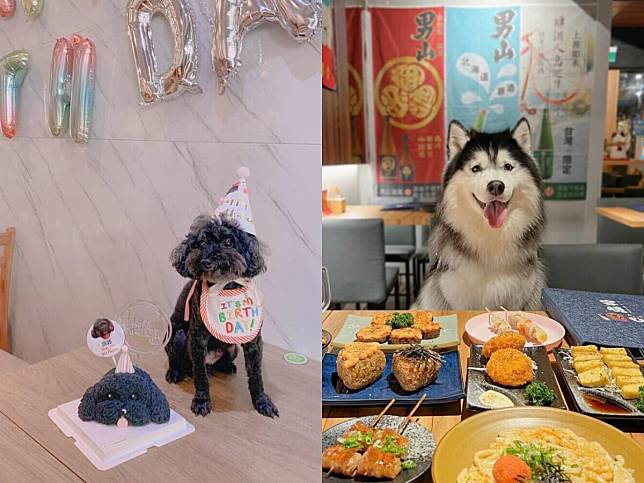 台北美食｜寵物友善餐廳推薦TOP 8，帶毛孩吃火鍋、串燒，竟然還有寵物網美咖啡廳？