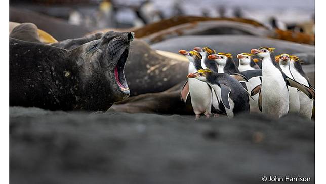 Right of Way by John Harrison ／ AGNPOTY