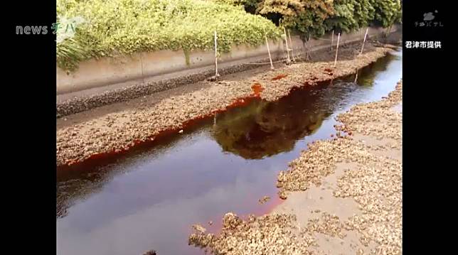 千葉縣近日傳出河流污染，整條河水呈現血紅色。   圖：翻攝自日本千葉電視台