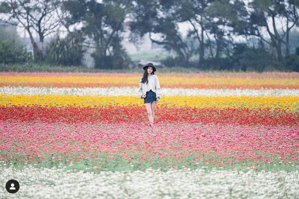 圖片來源：IG @r.ii.s.a