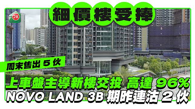 細價樓主導新樓交投高達96% NOVO LAND 3B期昨連沽2伙