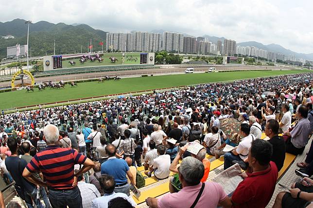 Fans watch the races at Sha Tin. Photo: Kenneth Chan