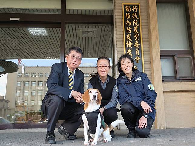 檢疫犬Mini調職　防檢局長：今年將新增3隻檢疫犬
