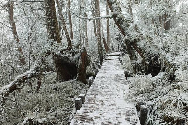 今天清晨（9日）太平山氣溫降到零下2度，放眼望去盡是銀白色的冰雪美景。（取自「太平山國家森林遊樂區」臉書）