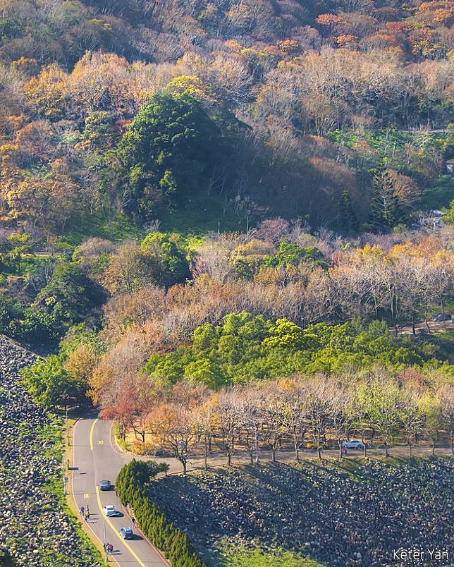 石門水庫楓葉林 / 圖片來源：@keteryan授權使用