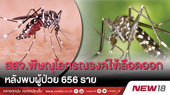 สสจ.พิษณุโลกรณรงค์ไข้เลือดออก  หลังพบผู้ป่วย 656 ราย