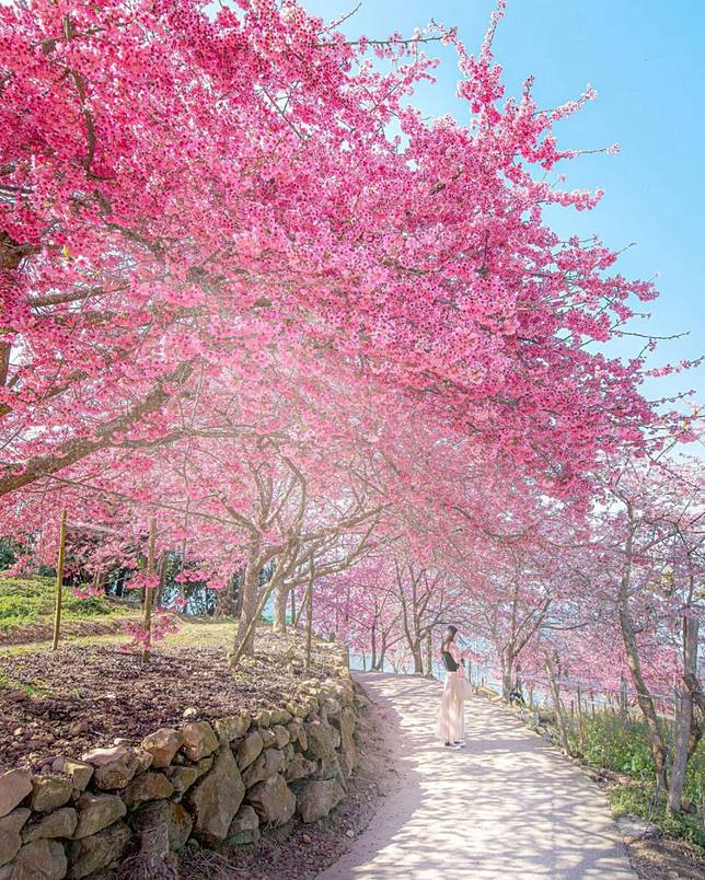 ＠南投山城水里鄉郡坑村（圖片來源/<a href=