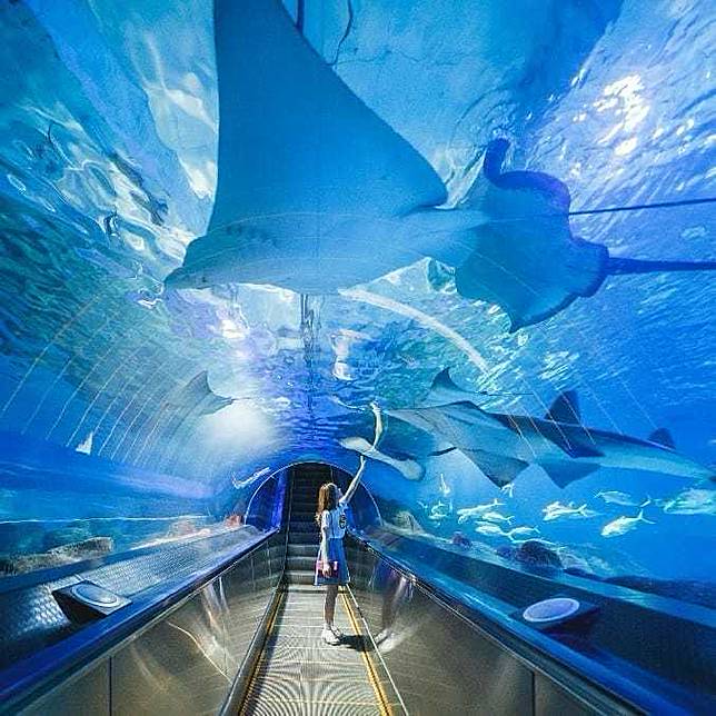 圖片來源：IG @fargloryoceanpark