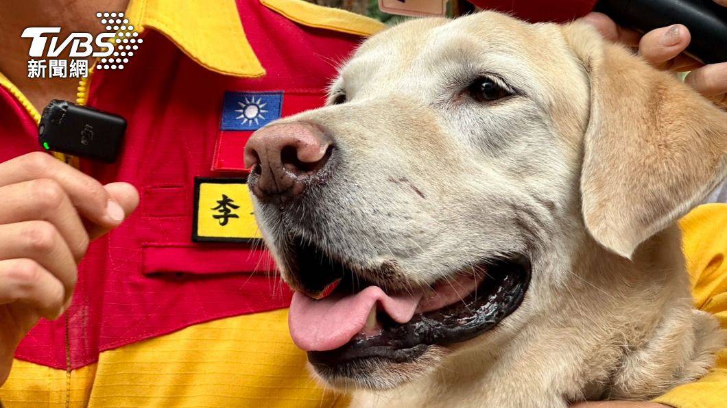 花蓮地震／搜救犬Roger立功尋獲第3具遺體 好累仍萌笑咬麥克風 | TVBS | LINE TODAY