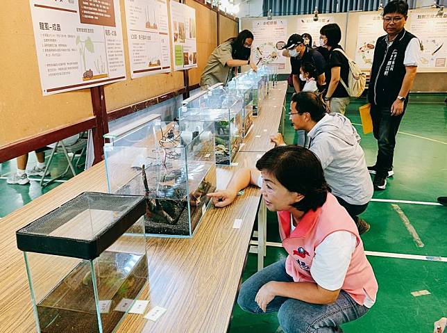 台中市教育局「二０二三濕地昆蟲展─蟲出江湖」，現場有眾多水生昆蟲實體標本，還有以３Ｄ仿真昆蟲，讓參訪者近距離觀察。 （記者陳金龍攝）