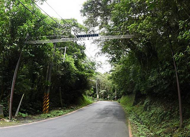 避免野生動物遭遇路殺，新北市土城承天路上的空中廊道提供了動物用路安全的功能。　（新北市府農業局提供）