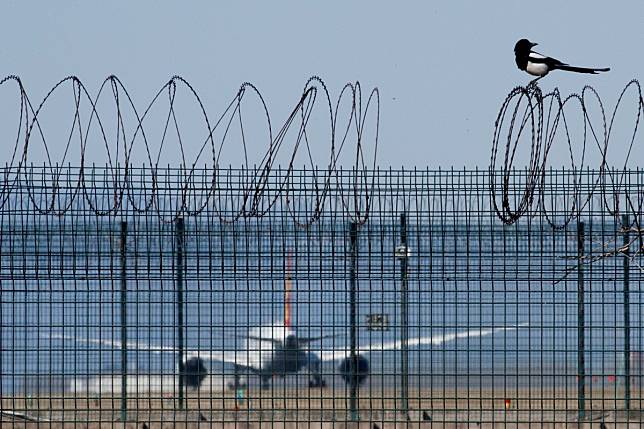 A bird sits on the barbed wire fence surrounding Beijing Capital International Airport China has now barred almost all holders of visas and residence permits from entering with few exceptions and waivers. Photo: Reuters