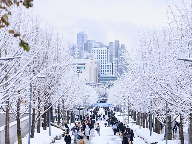 首爾大量降雪釀災，機場等交通受影響延誤，景福宮、德壽宮等觀光勝地也因此暫停開放。