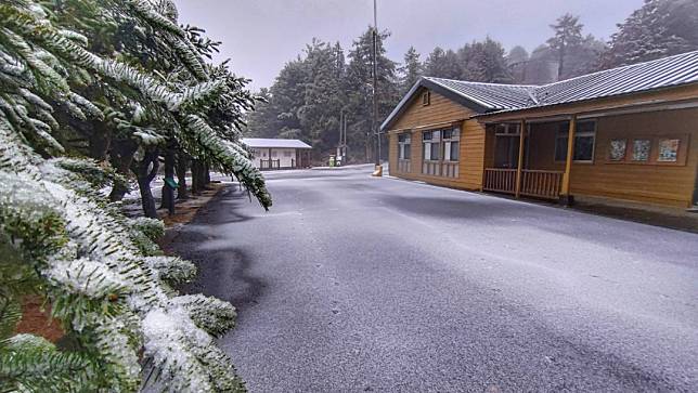 大雪山今日清晨6點多下雪，49k積雪。林業及自然保育署南投分署提供