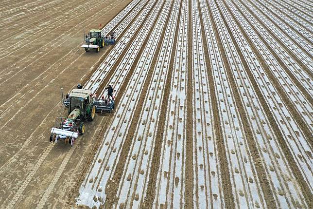 A drone photo shows self-driving seeders working in the farmland in Awat County of Aksu, northwest China's Xinjiang Uygur Autonomous Region, March 27, 2024. (Xinhua/Ding Lei)