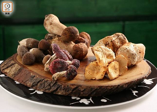 菇菌蘊含蛋白質、多種維他命、水溶性纖維等豐富營養，加上散發獨特香氣，是有益又百搭的食材。（盧展程攝）