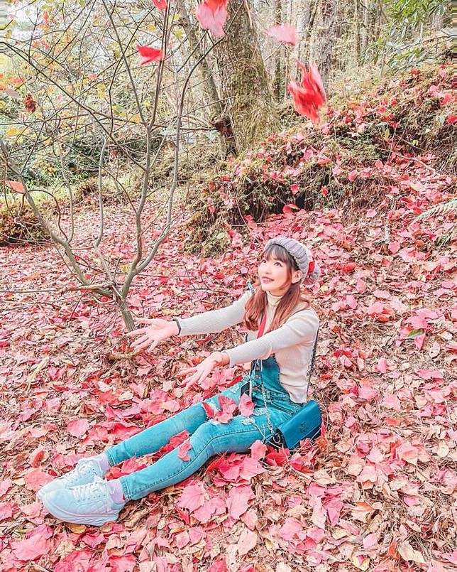 圖片授權：IG @fatpig520