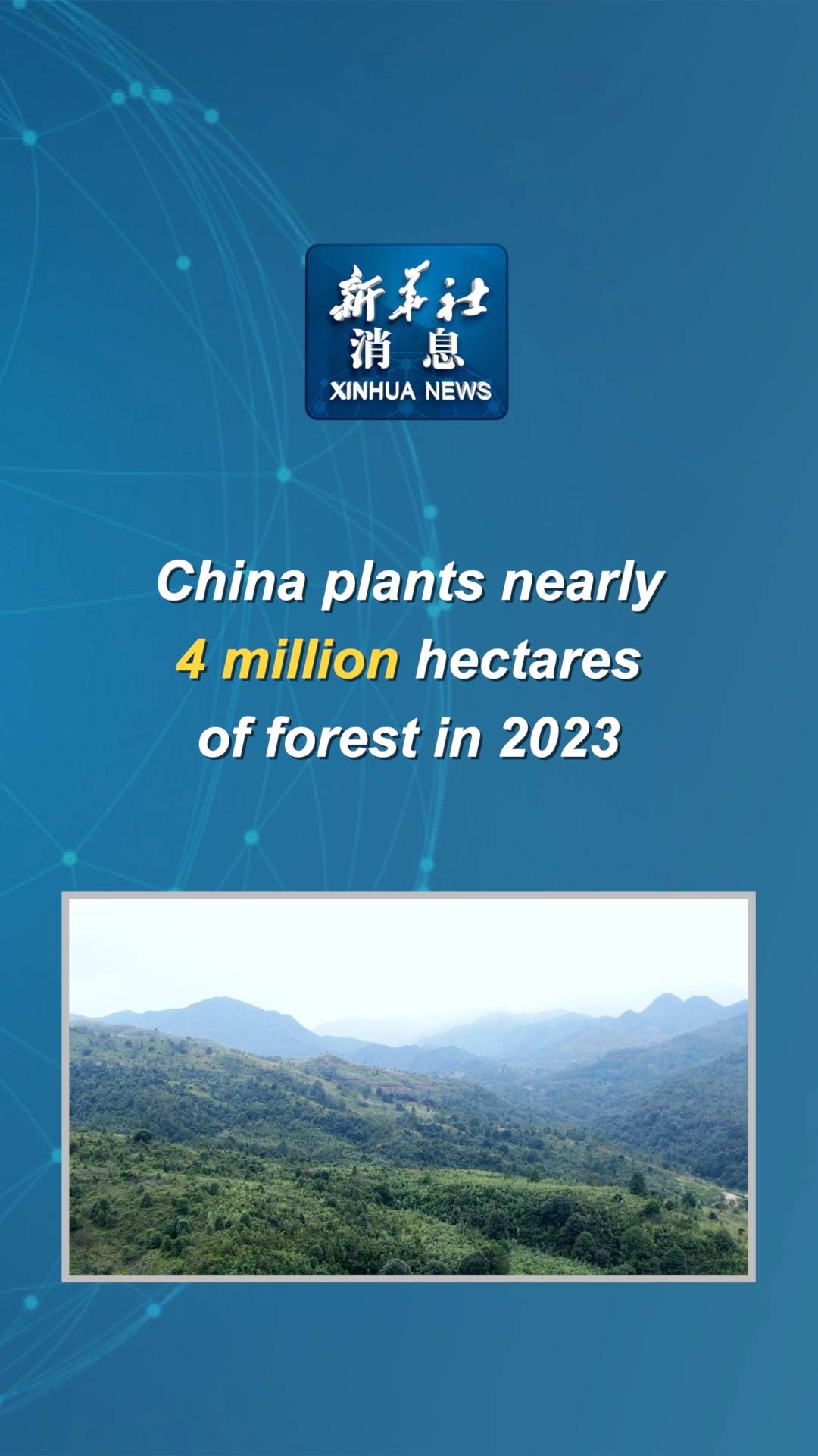 Xinhua News | China plants nearly 4 million hectares of forest in