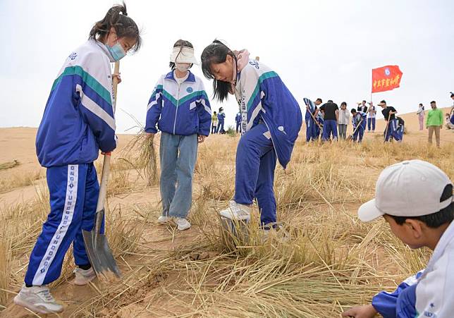 Students learn to pave straw checkerboards in the Tengger Desert in Zhongwei City, northwest China's Ningxia Hui Autonomous Region, May 31, 2024. (Xinhua/Feng Kaihua)