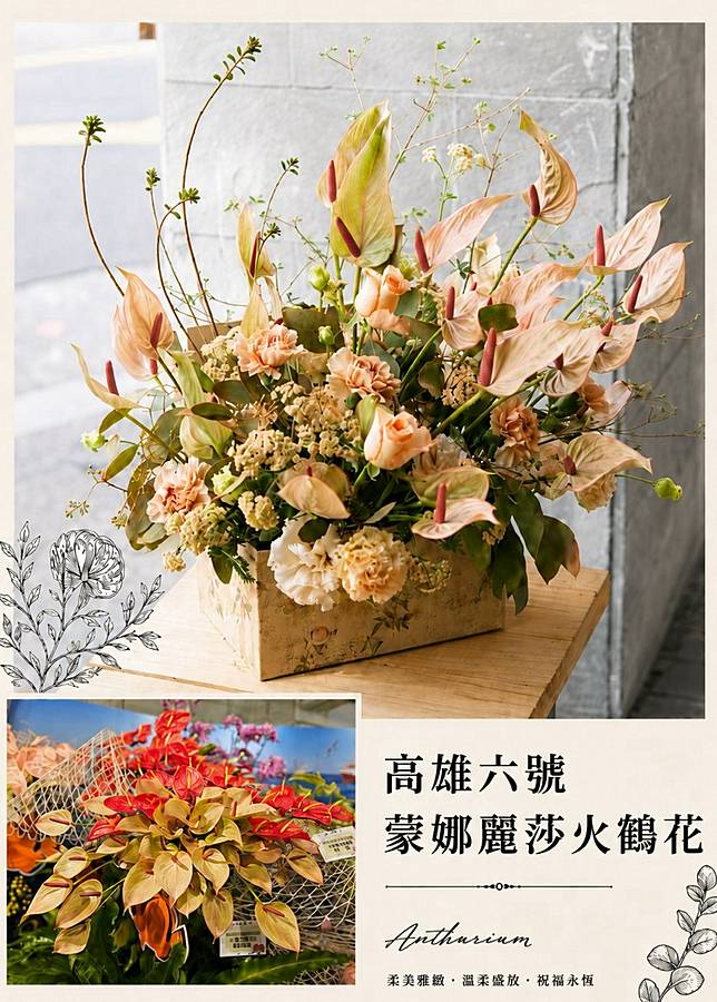 蒙娜麗莎顏色帶點粉褐色的莫蘭迪色質感，優雅大方。（照片提供／黃雅玲；製圖／上下游）