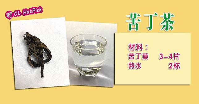 苦丁茶（圖片由林冠傑提供/資料圖片/明報製圖）
