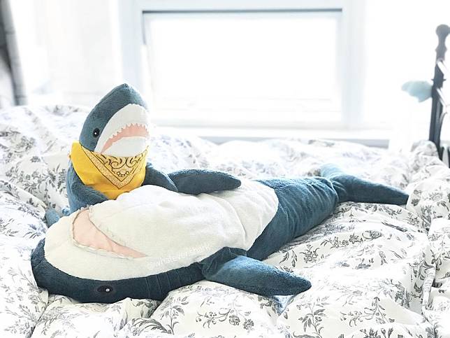 ▲ Ikea 的鯊魚娃娃最近大爆紅。（示意圖，非當事鯊魚／翻攝自 whatever.shark IG ）