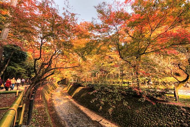 
<p>圖片來源：<a href=