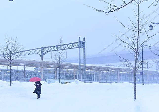 ▲每當冬季來臨，青森縣往往會有積雪，讓當地居民十分苦惱。圖為青森市雪景資料照。（圖／美聯社／達志影像）