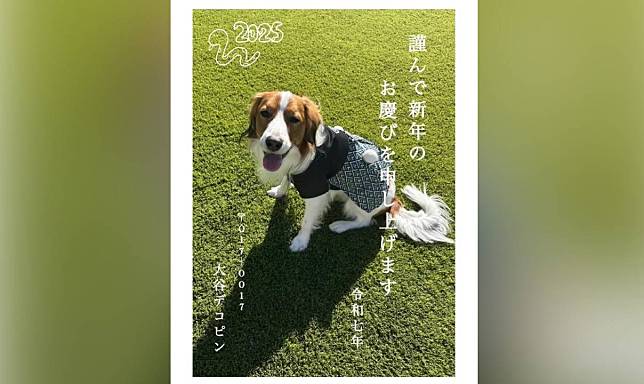 大谷翔平賀年卡以愛犬Decoy當主角。（圖／翻攝自IG）