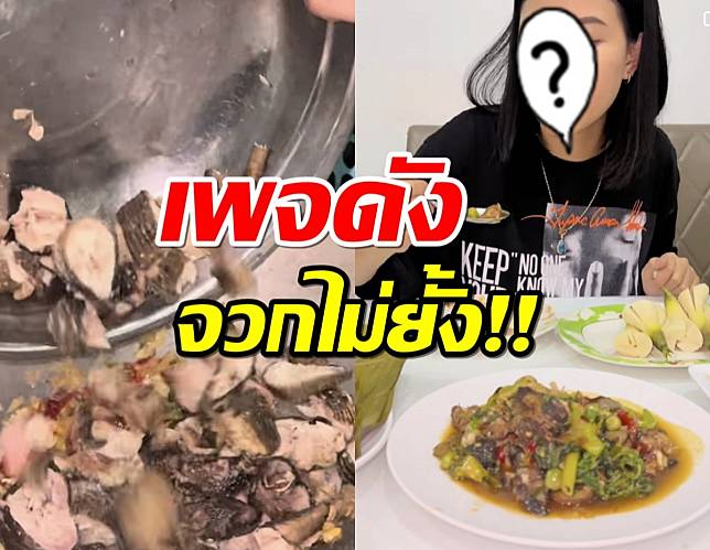 งานงอกนักร้องสาว โชว์กิน ‘ผัดเผ็ดแลน’ สัตว์ป่าคุ้มครอง