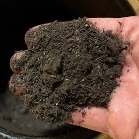 興大擁有可在三小時內將生廚餘處理成肥料，以及將廚餘轉化成生質能發電的專業技術。（興大提供）