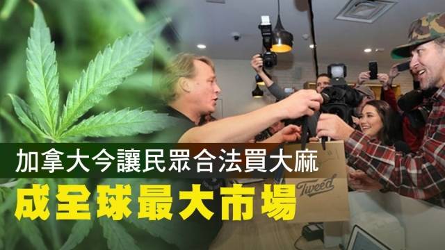 加拿大大麻商店正式合法賣出大麻(美聯社)