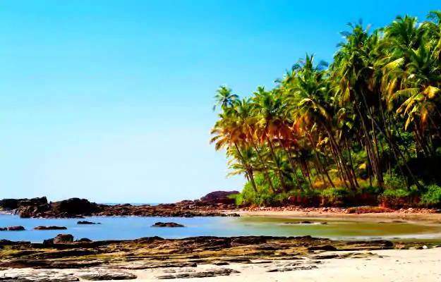 Agonda Beach. 圖片來源：India.com